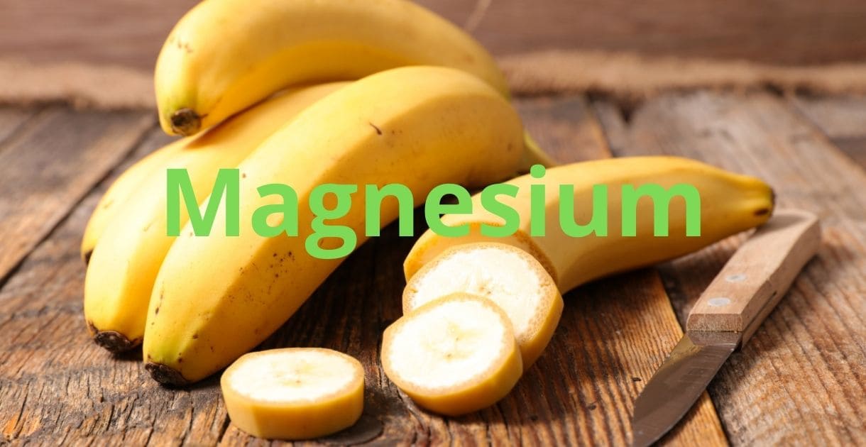 Bananen hundefutter barf bananen magnesium