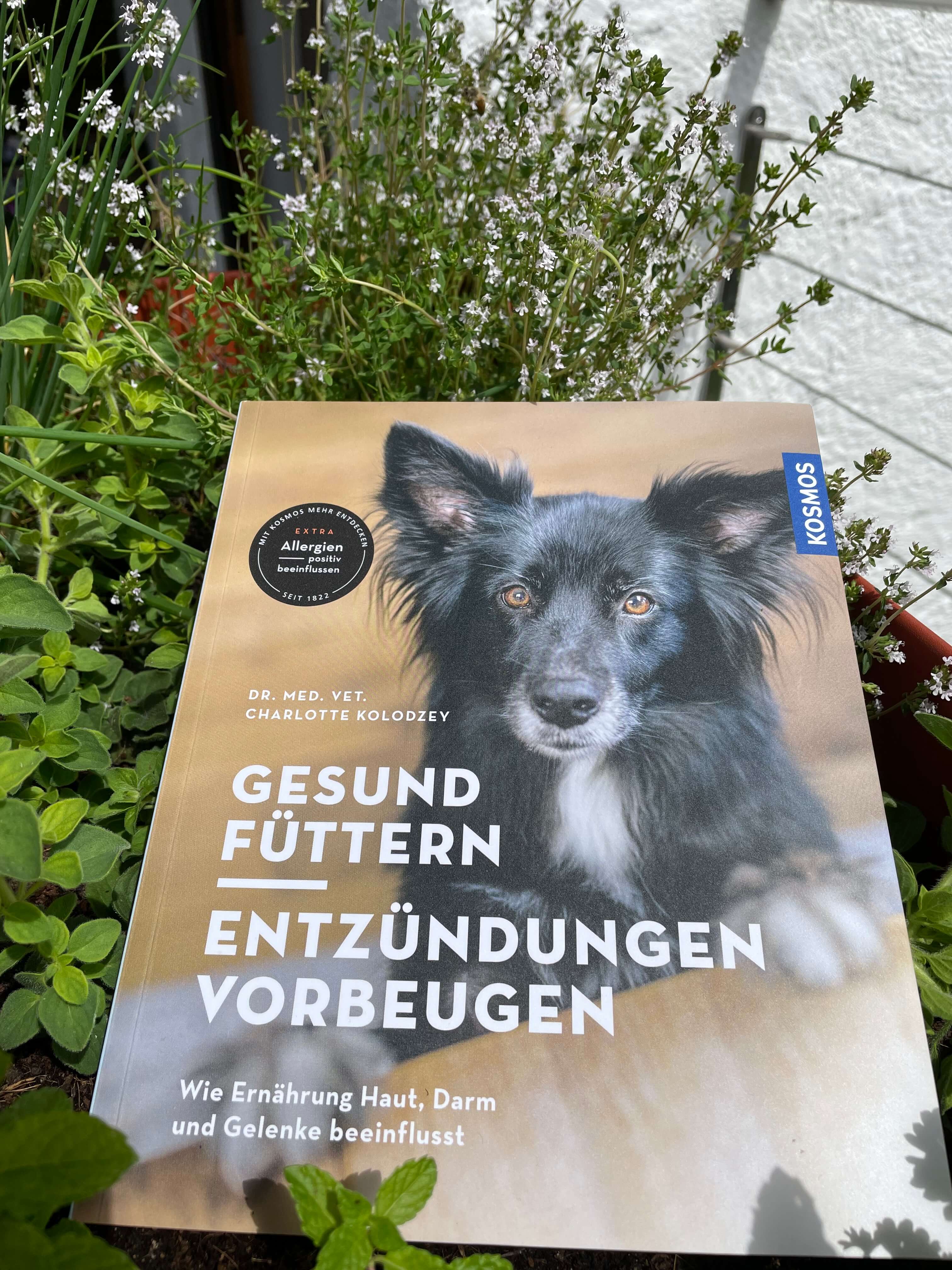 Buch "Gesund Füttern, Entzündungen vorbeugen" Buch, Ernährungsberatung, Hund, Fütterung, Entzündung