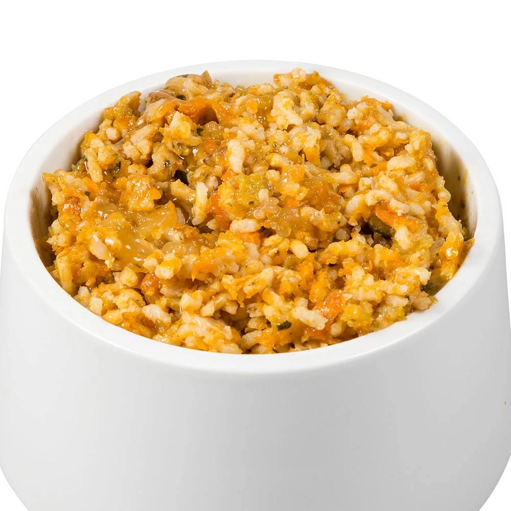 Sanoro BIO Gemüse-Obst-Mix 2 mit Bio-Reis, Bio-Karotten, Bio-Zucchini und Bio-Birne
