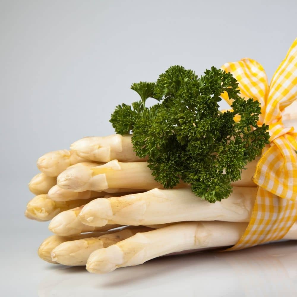Spargel spargel hund barf hundefutter