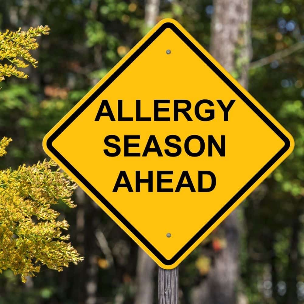 Allergie Histamin Allergie Histamin Hund Katze
