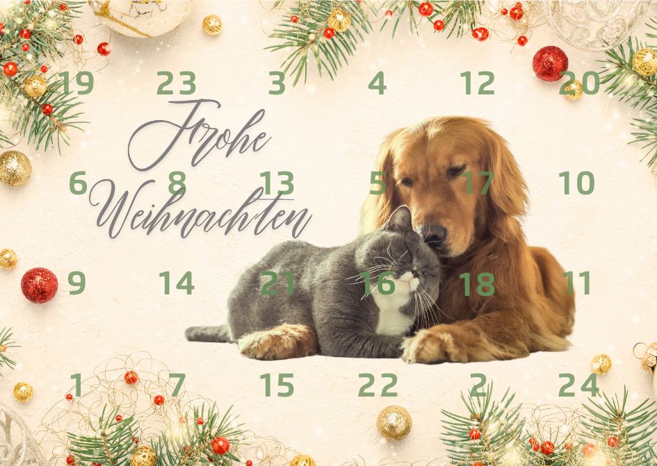 Vorderseite - Adventskalender 2024 fertig
