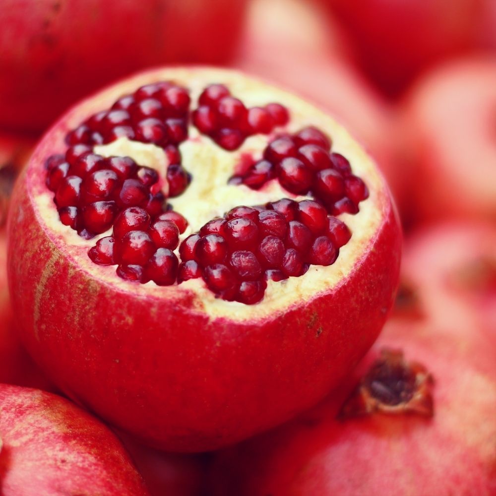 Granatapfel im Futter Granatapfel