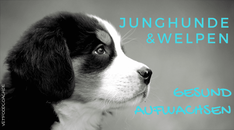 blog gesundes wachstum