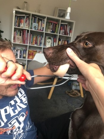hund knochen futter knochenring